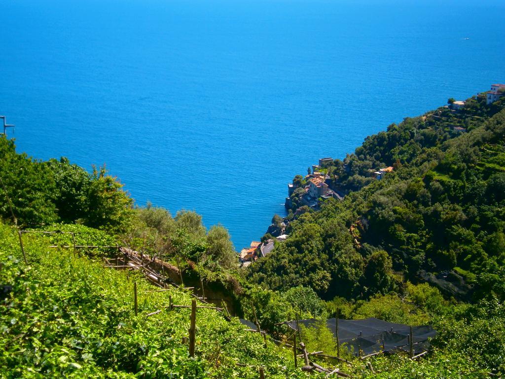 Villa En Rose Ravello Quarto foto